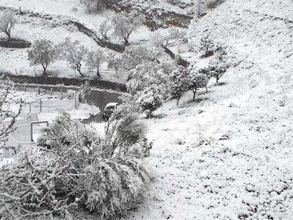 Un coche circulaba ayer por una carretera de Els Ports próxima a Morella, en medio de un paisaje completamente nevado.