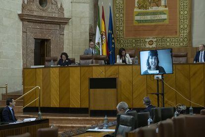 La diputada de Adelante Andalucía Teresa Rodríguez interviene por videoconferencia en el Parlamento Andaluz.
