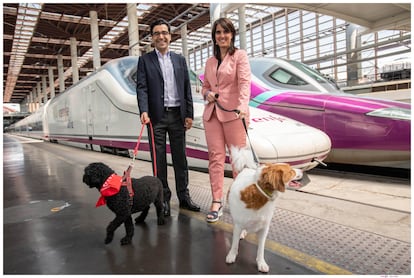 Renfe will carry out a pilot test to allow large dogs of up to 40 kilos to travel on the AVE Madrid-Barcelona.