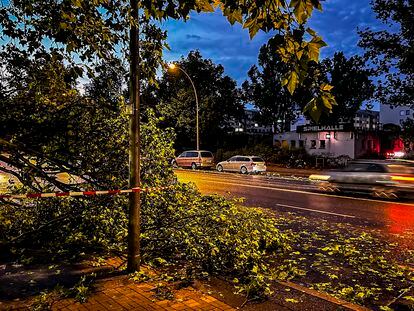 Berlin (Germany), 24/07/2023.- A fallen tree lies on the side of the road after a strong storm in Berlin, Germany, 24 July 2023. (tormenta, Alemania) EFE/EPA/HANNIBAL HANSCHKE
