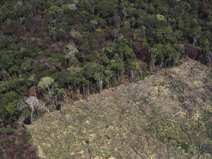 Una zona deforestada para el cultivo agrícola, en la Amazonia.