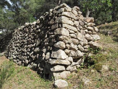 Estructura de piedra seca del siglo XVIII vinculadas con el cultivo de la vi&ntilde;a. 