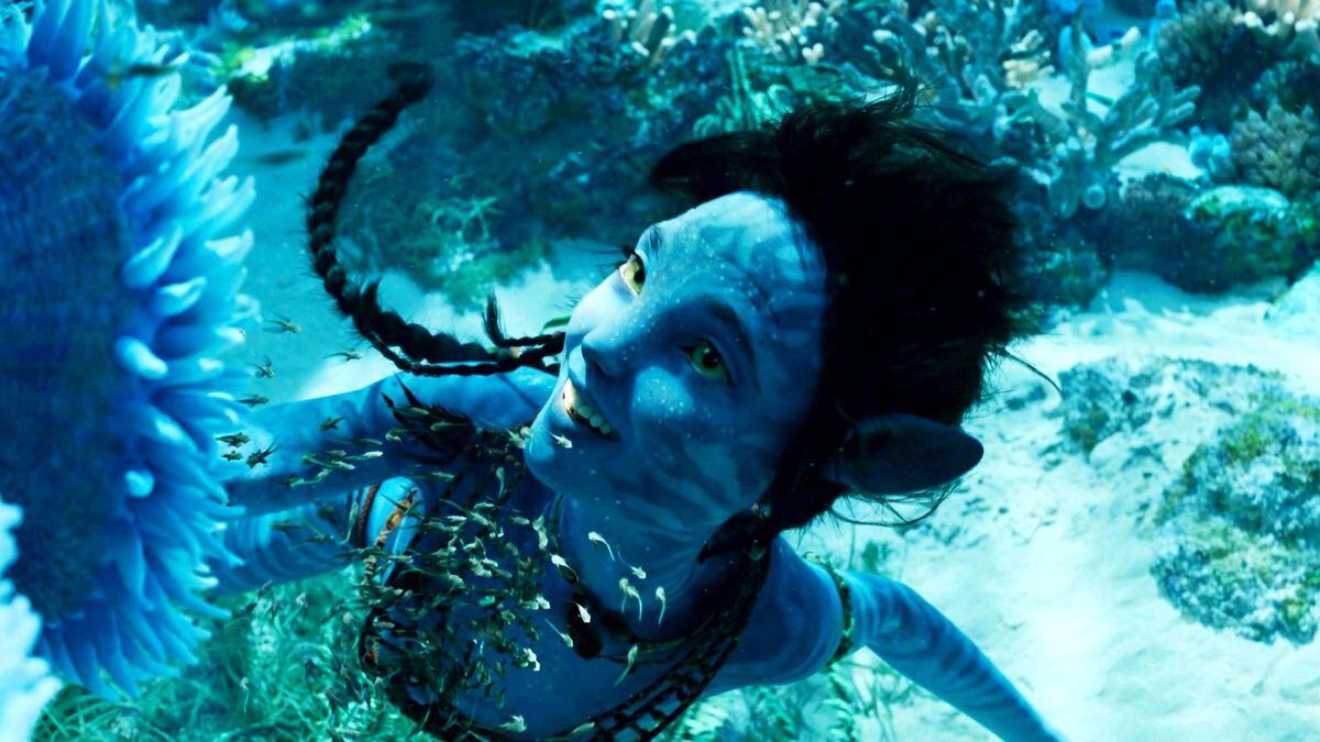 James Cameron, rey del cine tecnológico, vuelve con 'Avatar: el sentido del agua' 13 años después para reventar la taquilla | Cultura | EL PAÍS