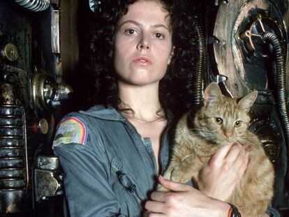 Uno de los gatos más famosos del cine: Jones, de 'Alien' (Ridley Scott, 1979). Curiosamente, el alienígena atacaba a los humanos, pero no al felino.