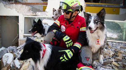 Edgar Martinez posa para un retrato con los perros de rescate Rocky, Orly, Robinson y Balám, en Querétaro, el 8 de mayo de 2023.