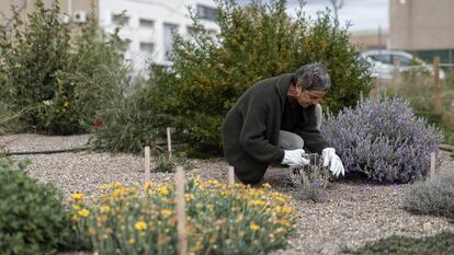 Instituto Les Garberes de Jardinería y Agricultura