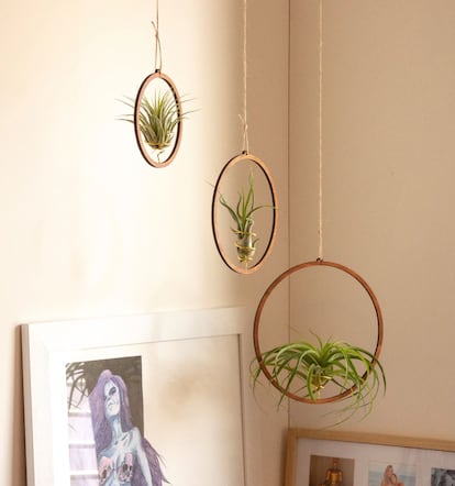 Handmade supports made of sustainable wood by Boreen Shop for air plants.