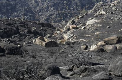 Dos molinos harineros fuera de uso en un arroyo próximo a los Arribes del Duero.