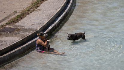 Una mujer con su perro, en el estanque artificial del parque de la Espanya Industrial, uno de los refugios climáticos de Barcelona, el 3 de agosto.