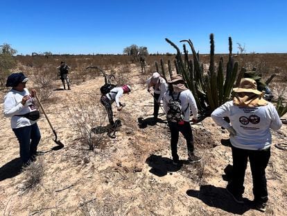 Madres Buscadoras de Sonora durante una búsqueda de restos humanos en Hermosillo.