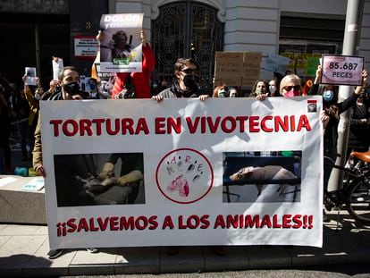 Concentración en contra de las prácticas de los laboratorios de Vivotecnia, ante la sede de la Consejería de Medio Ambiente de Madrid, el pasado abril.