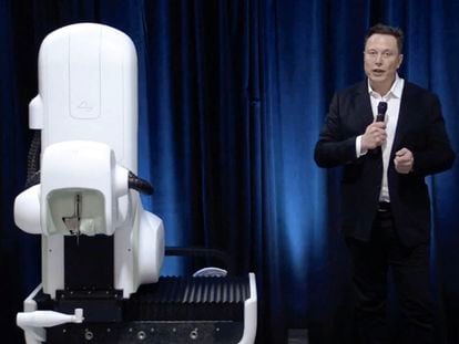Elon Musk en una transmisión en vivo junto al robot quirúrgico que colocaría los implantes, en agosto de 2020.