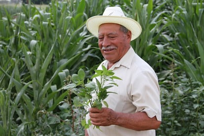  Agricultor en Oaxaca, M&eacute;xico.