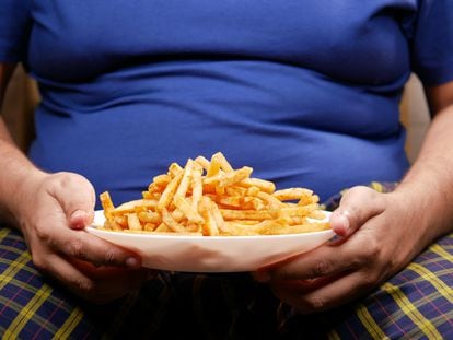 La comida con mucha grasa produce una inflamación en el cerebro que incrementa el apetito.