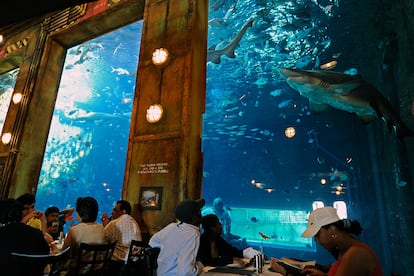 Cargo Hold (Sudáfrica)

Un paseo por la costa de Durban puede llevarte hasta el Ushaka Marine World, uno de los acuarios más reseñables de África. Allí podrás encontrar un barco con pinta de haber sufrido un naufragio, pero que no te engañe la vista: dentro del Phantom hallará este restaurante que ofrece vistas a paisajes marinos acompañadas de platos como ostras o mejillones.