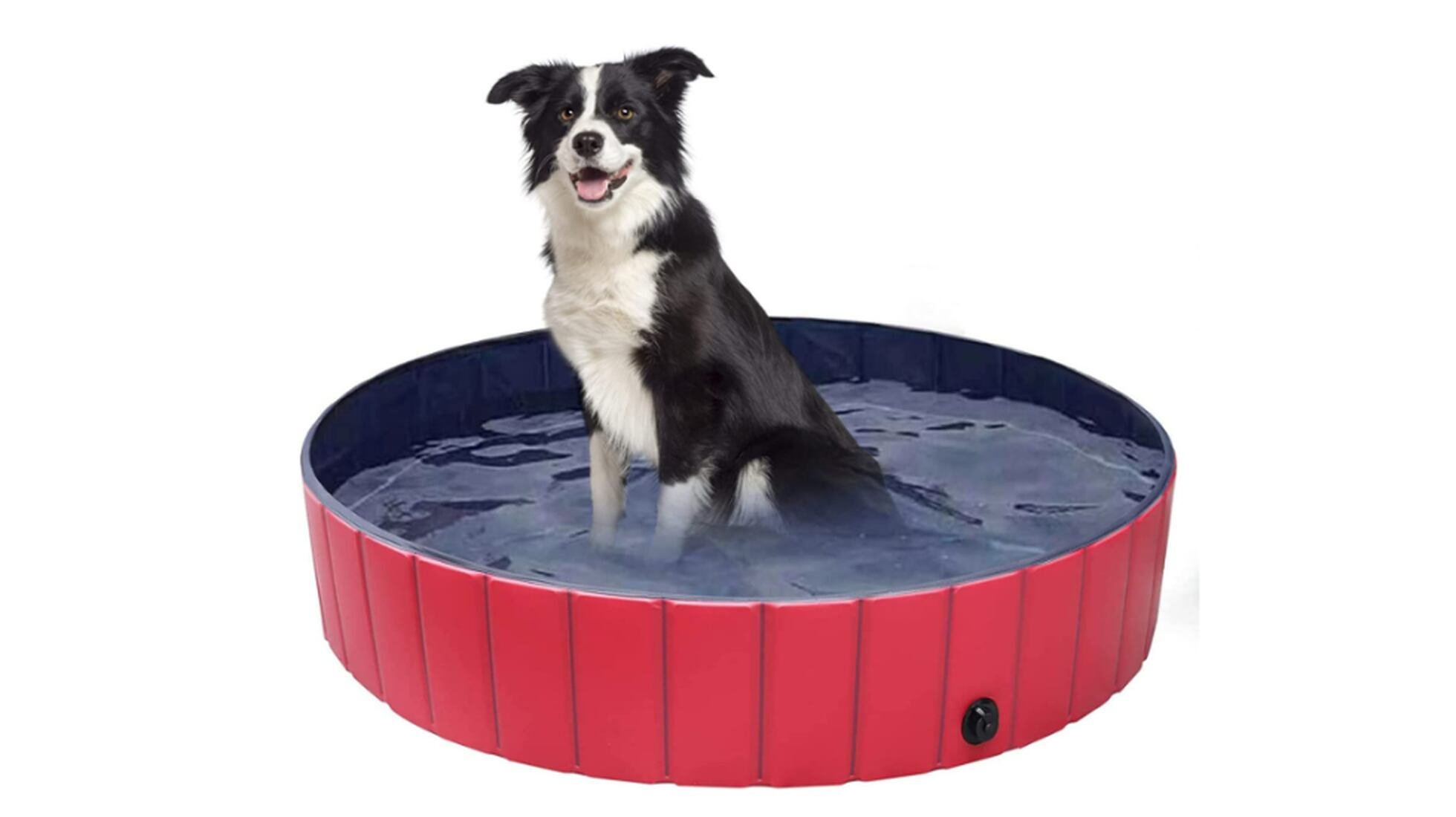 Tres piscinas de perros pequeñas para poner en tu terraza o jardín y que la  ola de calor sea pan comido
