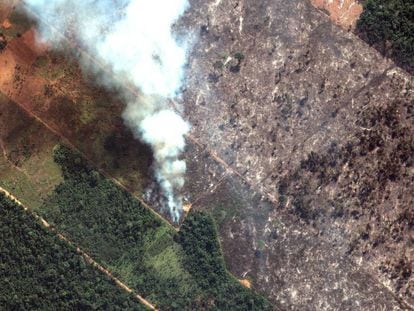 Una imagen satelital el incendio en la Amazonia. En vídeo, Bolsonaro intenta rectificar diciendo que nunca culpó a las ONG del incendio.