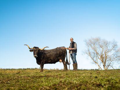 Manuel Quintana, cuarta generación de ganaderos y quien elabora embutidos con carne de vacas tudancas.