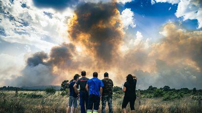 Agentes forestales y bomberos luchan contra el fuego que calcina la sierra de la Culebra en Junquera de Tera (Zamora) el sábado 18 de junio.