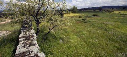 Para crear cualquier finca registral hay que identificar su ubicación y linderos tomando como base el Catastro.