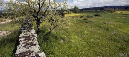 Para crear cualquier finca registral hay que identificar su ubicaci&oacute;n y linderos tomando como base el Catastro. 