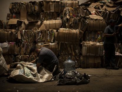 Un trabajador en una planta de reciclaje de Buenos Aires, el pasado mes de septiembre. Sin apenas retribución, sus familias no pueden salir del estado de pobreza y vulnerabilidad.