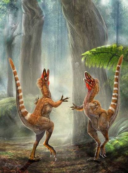 Representación de dos ejemplares de <i>Sinosauropteryx.</i>