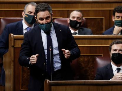 Santiago Abascal, durante su intervención en la sesión de control al Gobierno en el Congreso celebrada este miércoles.