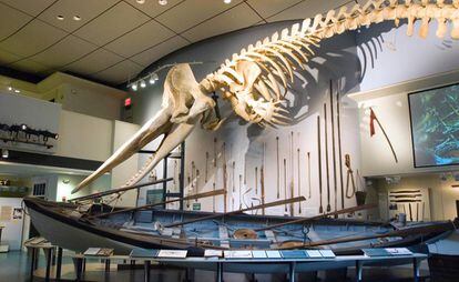 Una sala del Whaling Museum, en Nantucket (Massachusetts).