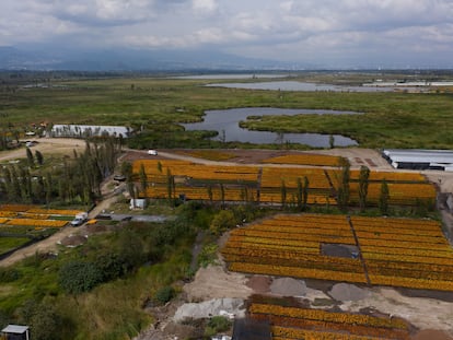 Vista aérea de uno de los viveros de Xochimilco y parte de los humedales, en octubre de 2021.