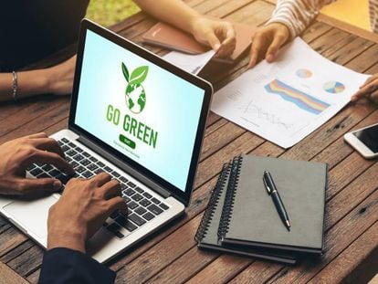 ¿Qué es la nueva generación de “emprendedores verdes”?