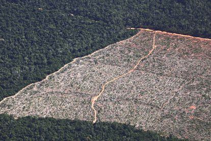 Vista aérea de una zona del Amazonas deforestada en los alrededores de Posto Alto Manissaua (Brasil), en 2010.