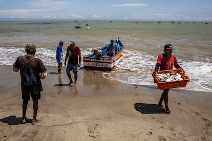 En 2015, el Estado peruano estableció el cese de la construcción de barcos artesanales. Ya eran muchos, y la pesca corría el riesgo de convertirse en un mal negocio que no pasaría a las posteriores generaciones. En la imagen, un desembarcadero marítimo artesanal en Zorritos, en la ciudad de Tumbes, al norte del Perú, el 1 de abril de 2023.