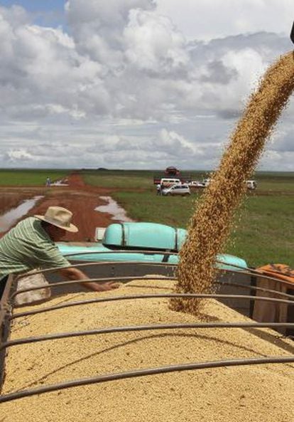 Granjero cosechando cereales en EE UU.