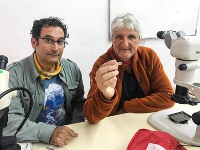 César Laplana y Enrique Baquedano con el molar de 'Mimomys savini'. 