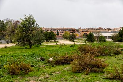 Parcela donde se construirá el cantón de Montecarmelo junto al Cementerio Municipal de Fuencarral.