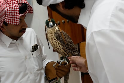 A man takes his falcon for a checkup at the Al Khor Falcon Hospital in Qatar.  The preliminary testing laboratory offers fecal testing, culture cytology, hematology, and blood lead analysis.  For this, it has 4 microscopes, a blood cell counter and a blood lead analysis machine. 