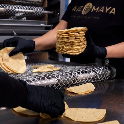 Tortillas mexicanas recién salidas de la tortilladora, en una fotografía cedida por Maíz Maya.