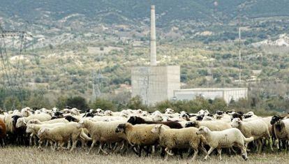 La nuclear de Garo&ntilde;a, en Burgos.