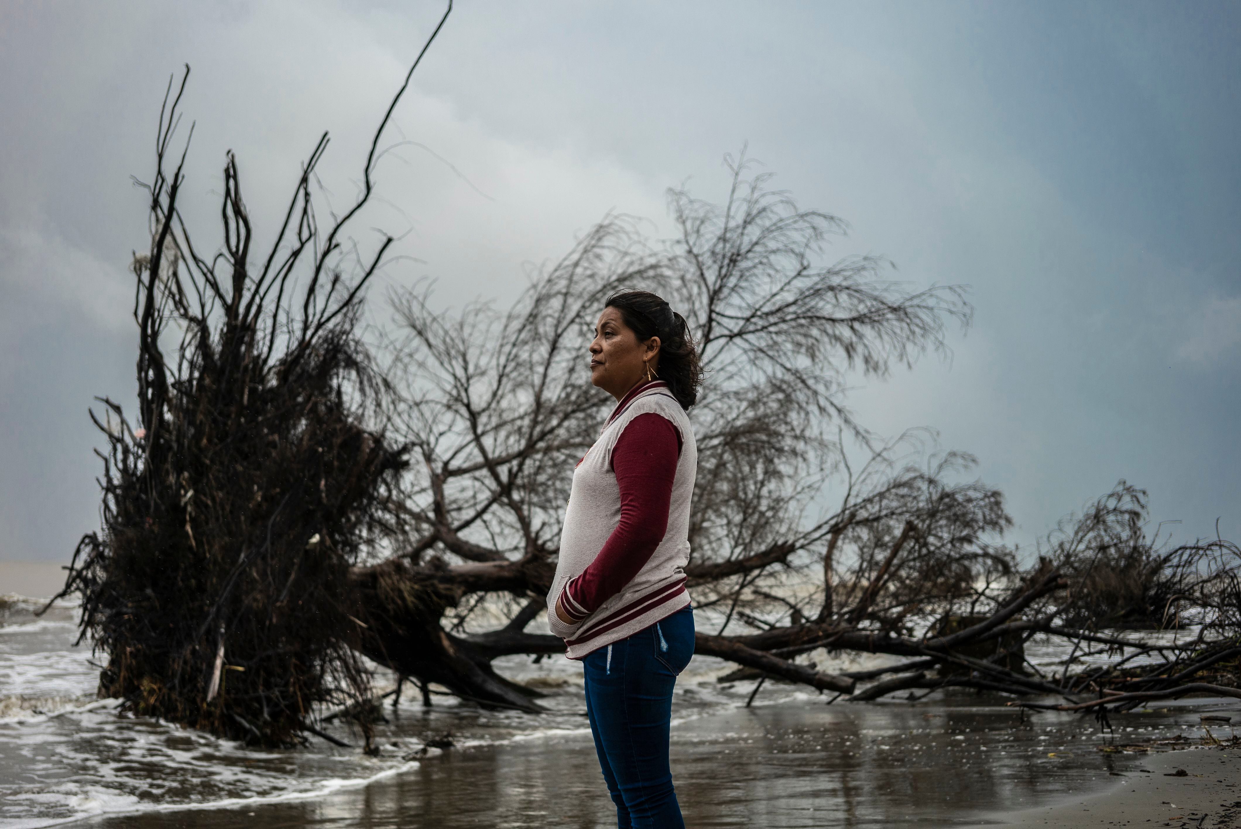 Cristina Pacheco observa un árbol que desaparece en la olas. 