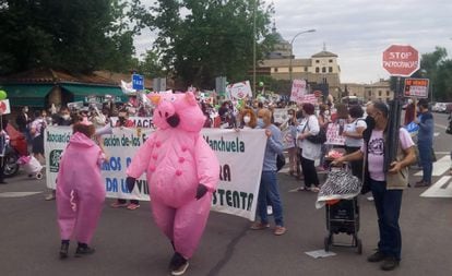 Manifestación en Toledo contra la ganadería intensiva en la región, el pasado 23 de mayo.