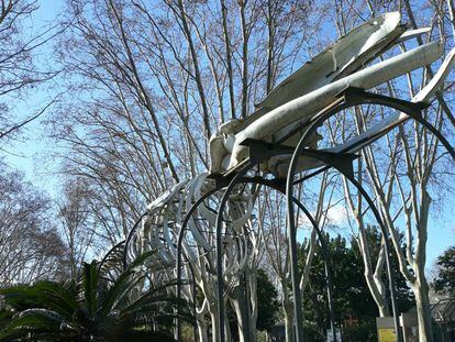 Una de las últimas fotografías de la ballena todavía en la instalación