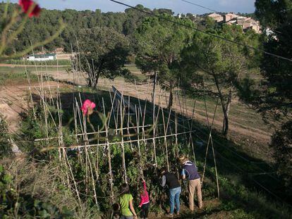 Un dels dos horts ciutadans de Navàs.