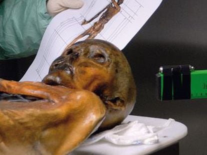 Un cuarto de siglo después de su descubrimiento, Ötzi redibuja la Prehistoria