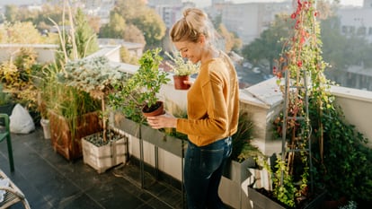 Seis soluciones innovadoras para mantener tus plantas regadas durante tus vacaciones