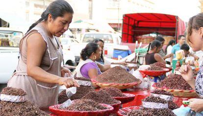 Una vendedora de &quot;chapulines&quot; en el mercado de Oaxaca, M&eacute;xico.
