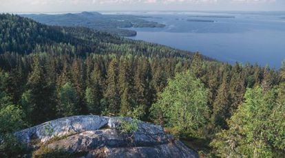 Parque Nacional de Koli, en Finlandia.