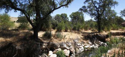 Imagen de la finca de El Tagarral, en 2012