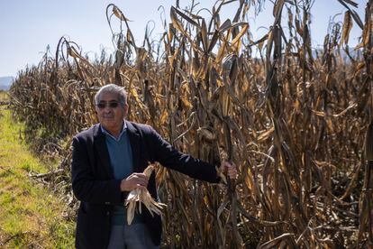 Álvaro López Ríos, secretary general of UNTA, on December 20 in Chapa de Mota.