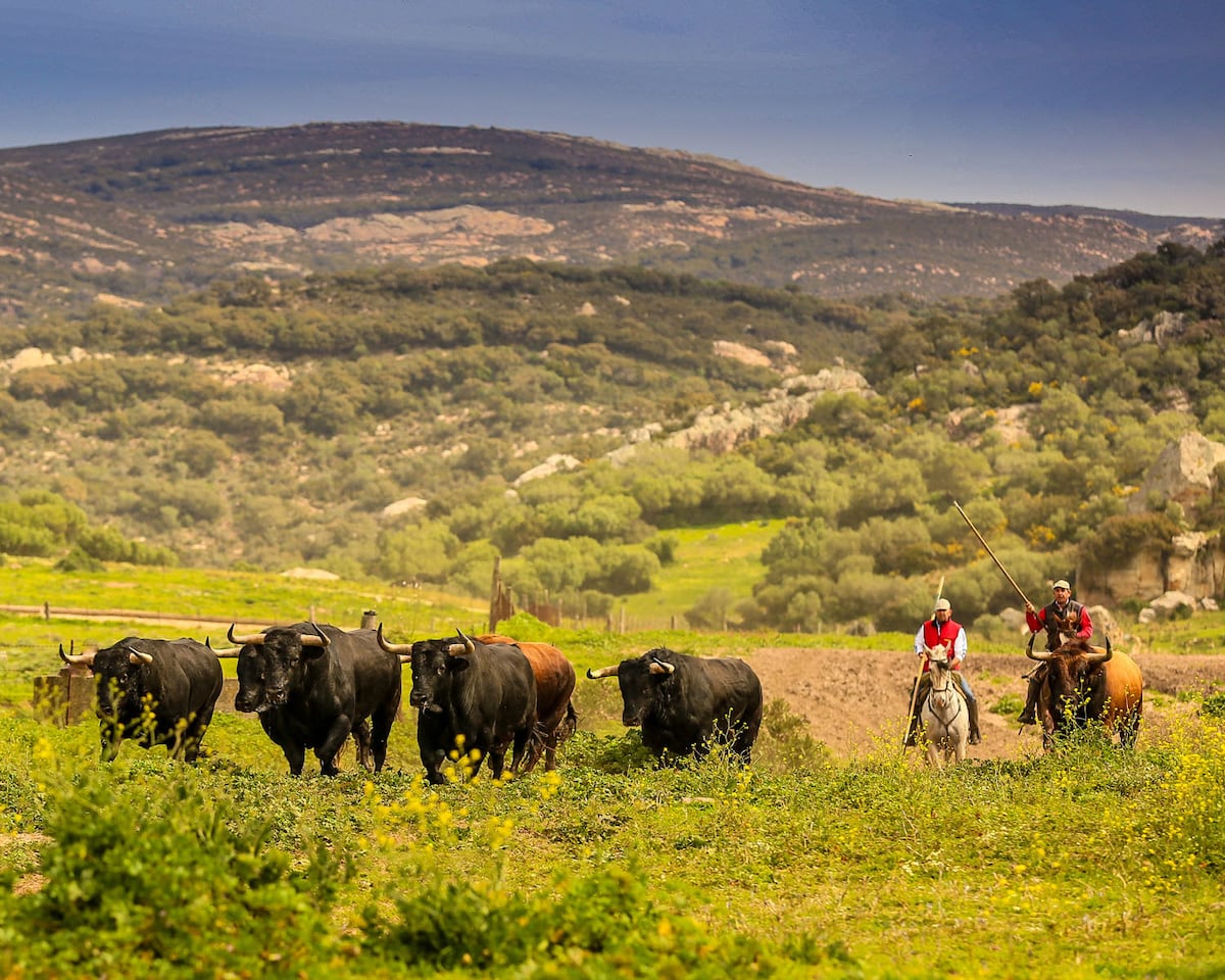 Una veintena de asociaciones firman en Santander una declaración contra el animalismo | Cultura